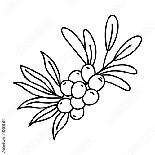 sea buckthorn icon, sea buckthorn vector illustration-simple illustration of sea buckthorn, perfect for sea buckthorn logos and icons