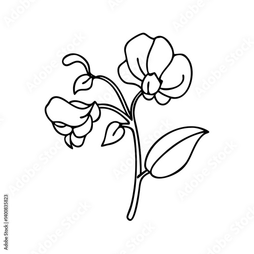 sweet pea flower icon, sweet pea flower vector illustration-simple illustration of sweet pea flower, perfect for sweet pea flower logos and icons