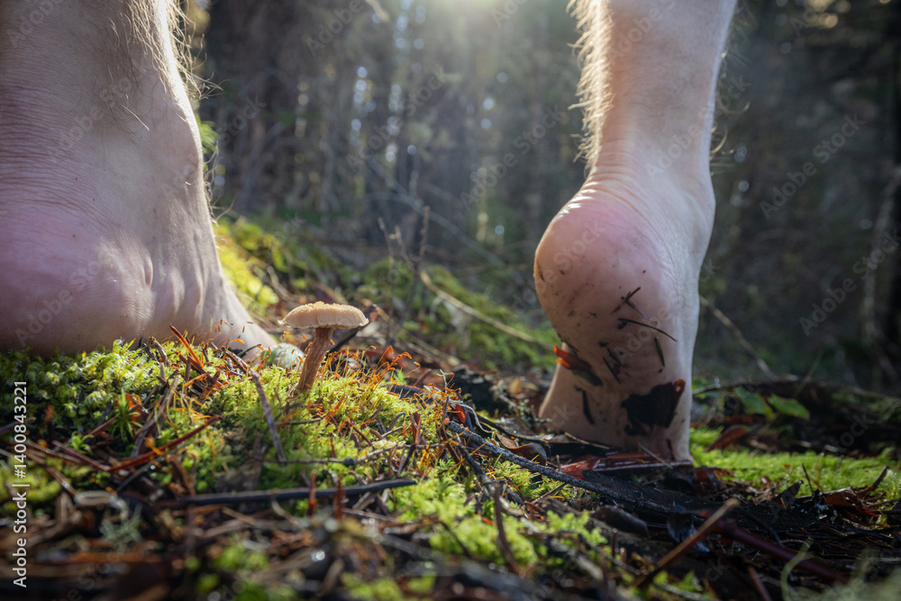 Obraz premium Human feet of an adult male walking barefoot in a forest as a form of grounding and connection to the earth.