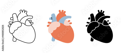 Heart icon set. Human internal organ anatomy. Vector illustration.