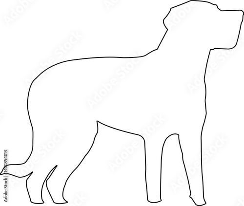 vector image of a dog