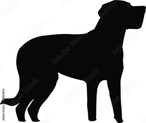 Playful Labrador Retriever Silhouette