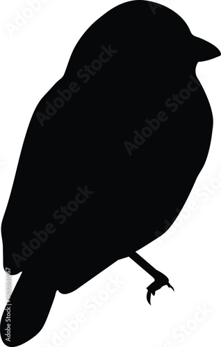Cute Bird Silhouette