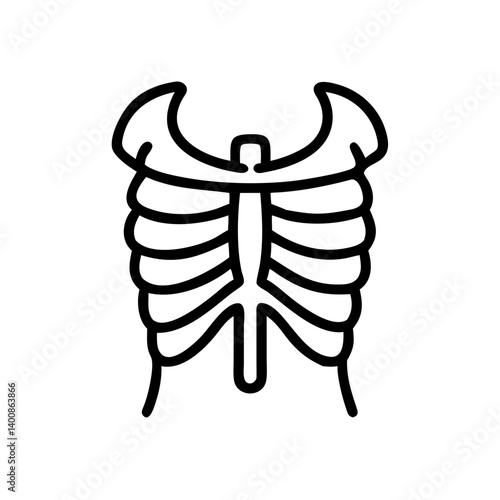 ribs