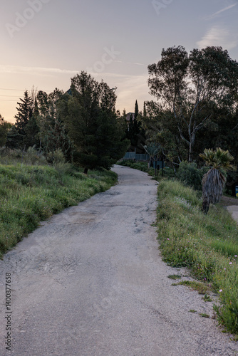 Obraz na płótnie Winding road leading through lush green landscape at sunset w salonie