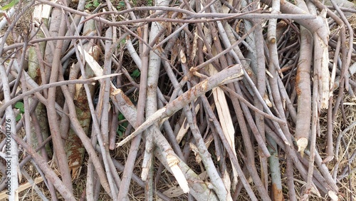 A pile of dead tree branches texture background