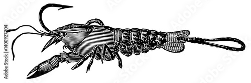Fishing Vintage Vector Illustration