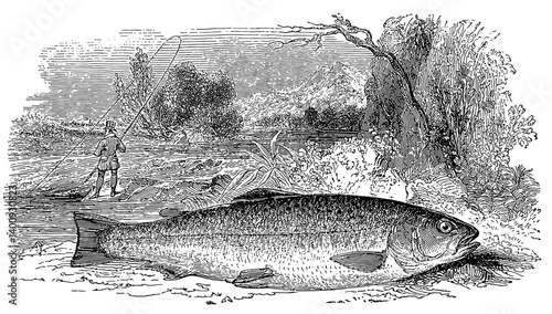 Fishing Vintage Vector Illustration