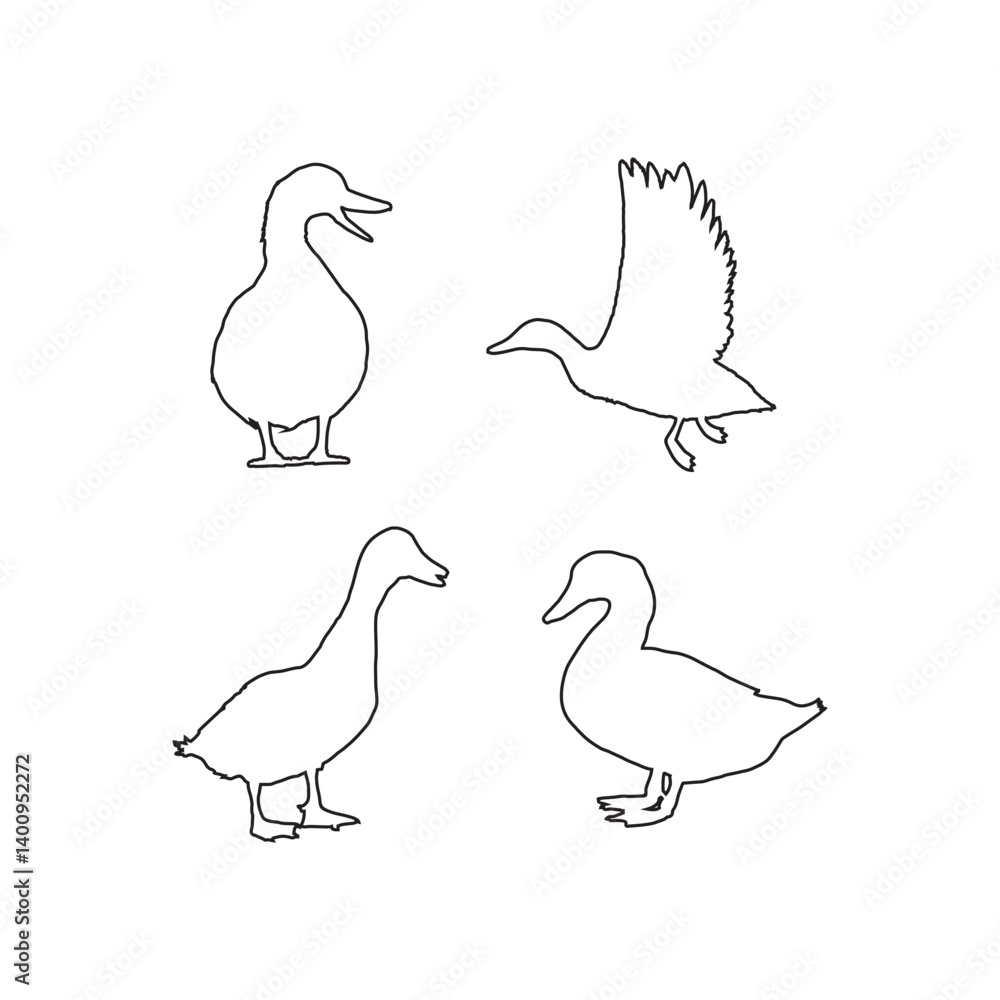 Set of Duck Line Art Silhouettes – Minimalist Hand Drawn Bird Outline Set of Duck Line Art Silhouettes – Minimalist Hand Drawn Bird Outline