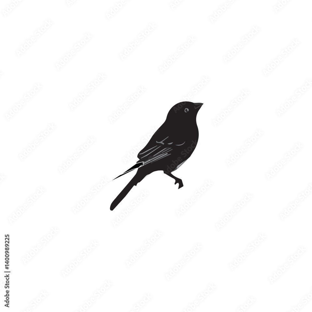 Obraz premium black and white bird drawing, vector, graphics, sketch 