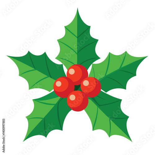 Christmas holly isolated on white background