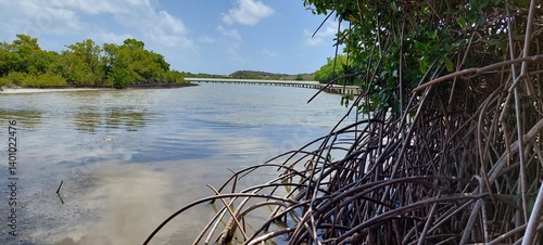 Bord de mer 