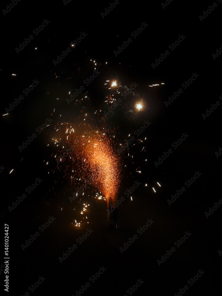 Feuerwerk zu Silvester im Garten