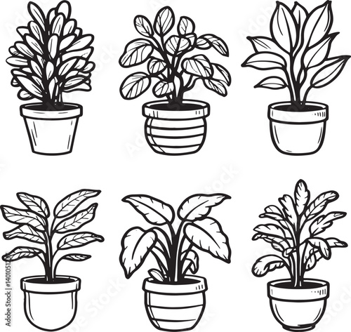 Set of houseplants in pots vector illustration isolated On Transparent Background