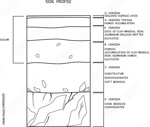 Coloring page with soil profile. Scheme of a cross section of a soil, revealing horizons with titles