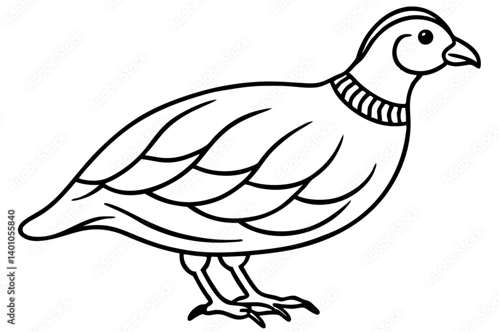 Fototapeta premium Quail Silhouette Line Art