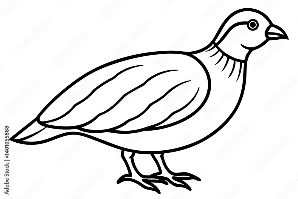Fototapeta premium Quail Silhouette Line Art