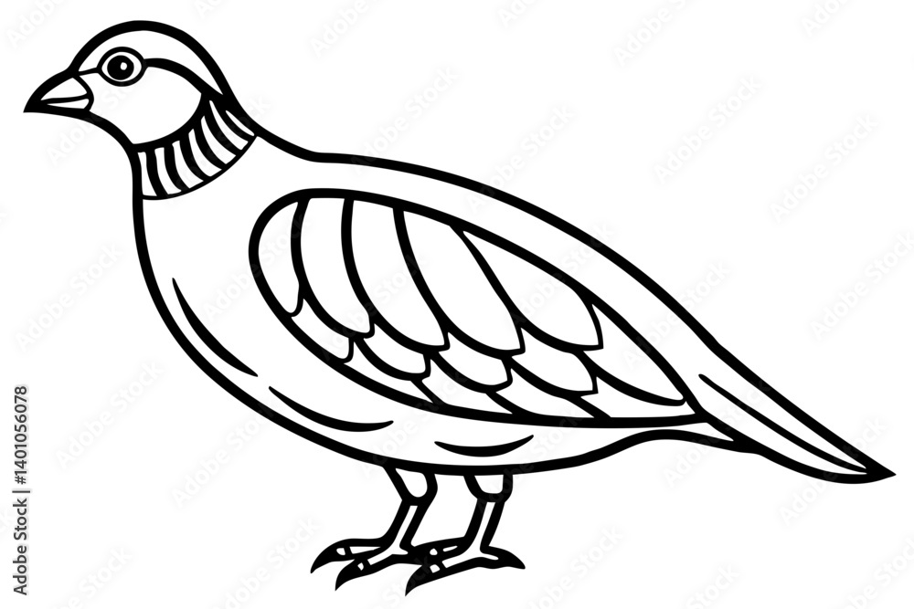 Fototapeta premium Quail Silhouette Line Art