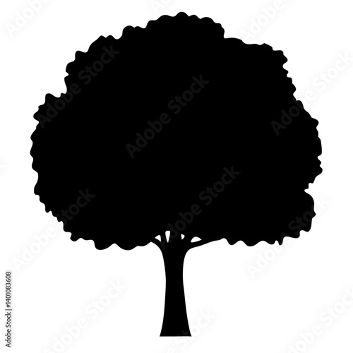 poplar tree silhouettes - black poplar tree, isolated transparent background
