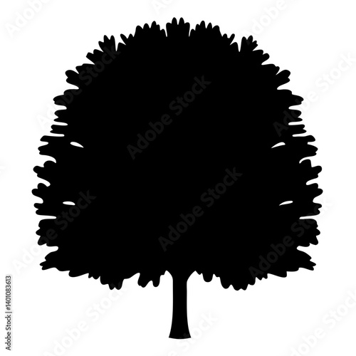 poplar tree silhouettes - black poplar tree, isolated transparent background