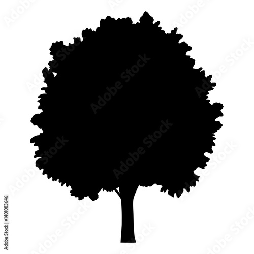 poplar tree silhouettes - black poplar tree, isolated transparent background