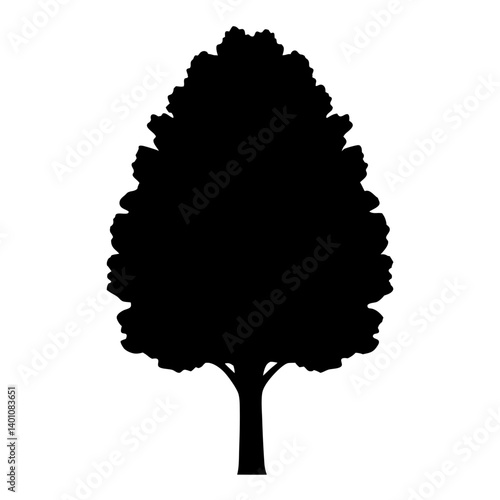 poplar tree silhouettes - black poplar tree, isolated transparent background