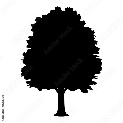 poplar tree silhouettes - black poplar tree, isolated transparent background