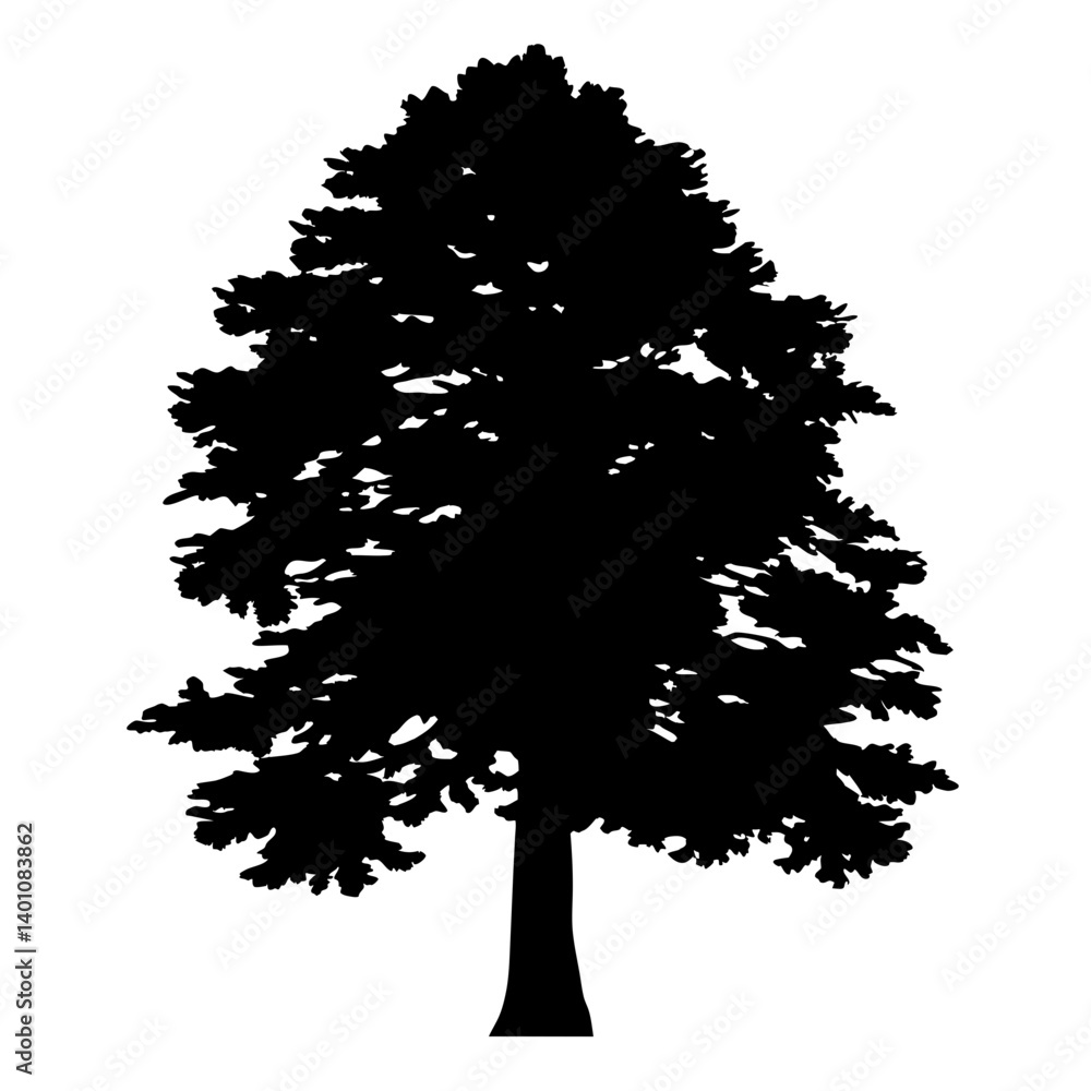Fototapeta premium redwood tree silhouettes - black redwood tree, isolated transparent background