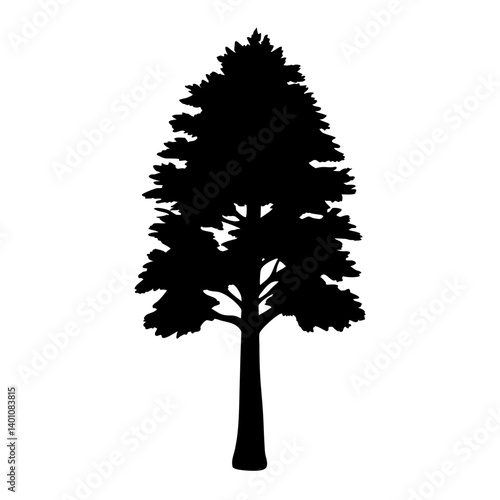 redwood tree silhouettes - black redwood tree, isolated transparent background