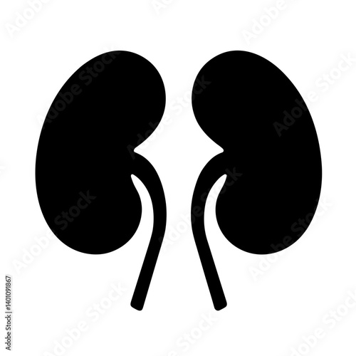 Outlined kidneys icon representing urinary system and renal health care