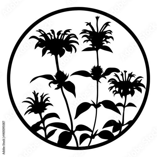 Silhouette of Bee Balm Flowers in a Circular Frame Botanical Illustration Black and White Floral Design