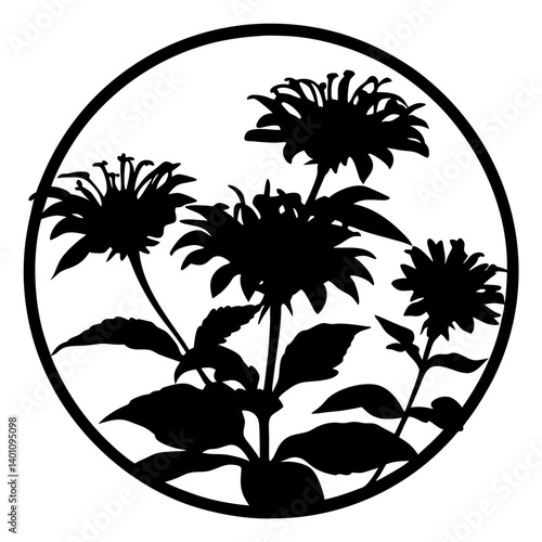 Elegant Black and White Silhouette of Bee Balm Flowers in a Circular Frame Botanical Illustration Floral Design