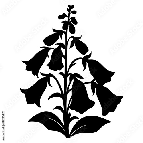 Elegant Black Silhouette of Campanula Flowers Botanical Illustration