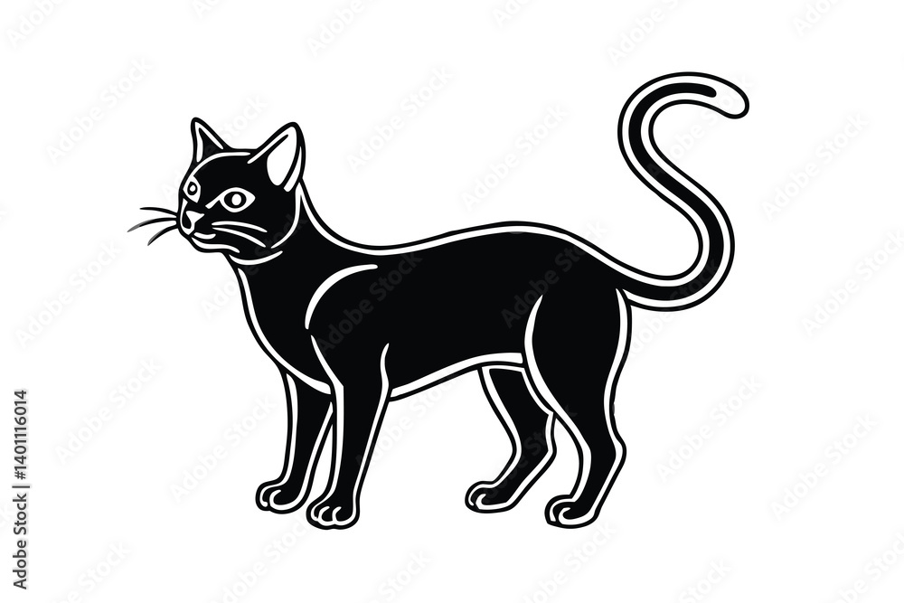 black and white cat black and white cat