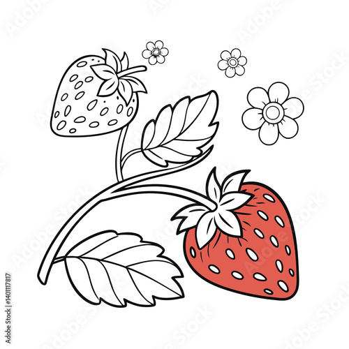 vector illustration of a strawberry coloring book page vector illustration