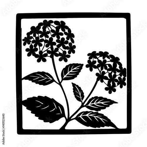 Hydrangea floral silhouette in square frame- Black silhouette artwork of hydrangea flowers with clusters of small blossoms and broad leaves, enclosed within a square frame, representing natural beauty