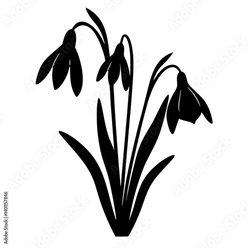 Black and white illustration of snowdrop , flower silhouette vector designs.