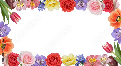 Wallpaper Mural Flower Border| Flowers Border| Flower Background| Flower Flowers| Border Background| Mothers Day Background Torontodigital.ca