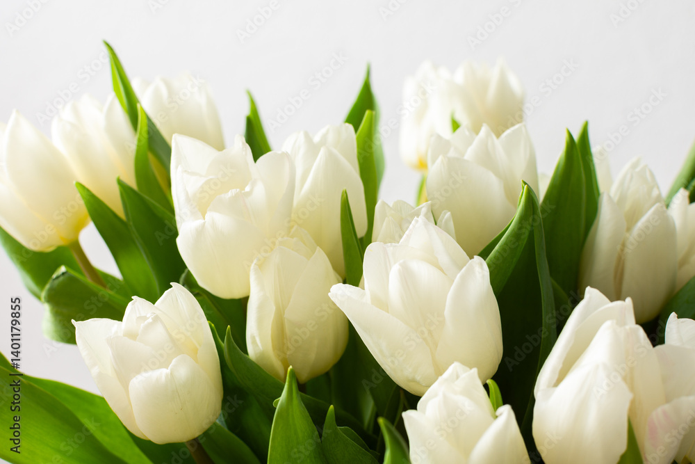 Close-up of a beautiful spring bouquet with white tulips, showcasing the delicate petals and vibrant freshness, perfect for nature-inspired decor Close-up of a beautiful spring bouquet with white tulips, showcasing the delicate petals and vibrant freshness, perfect for nature-inspired decor