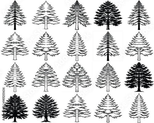 Cedar tree silhouette vector illustration isolated on white background.