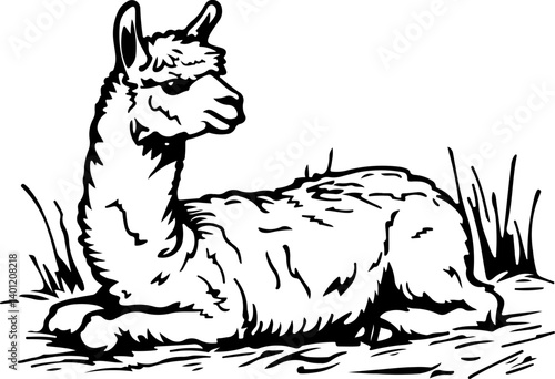 alpaca, giraffe, animal, cartoon, wild, safari, vector, zoo, illustration, mammal, animals, nature, wildlife, zebra, neck, cute, tall, funny, baby, drawing, jungle, art, design, set, fun, elephant
