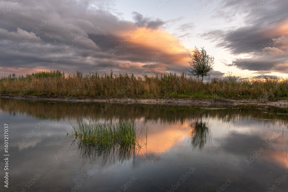 Fototapeta premium A body of water with a tree in the foreground