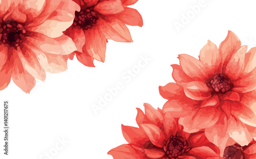 Background of hand drawn dahlia flowers