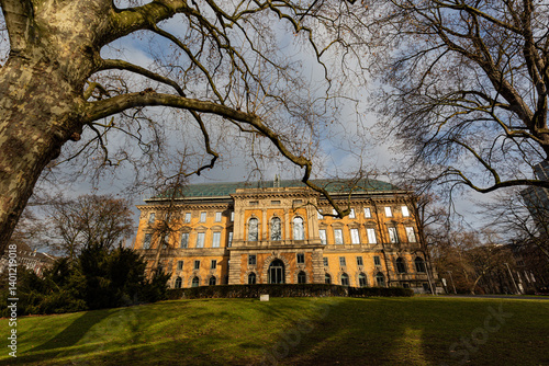 Building of museum in the park