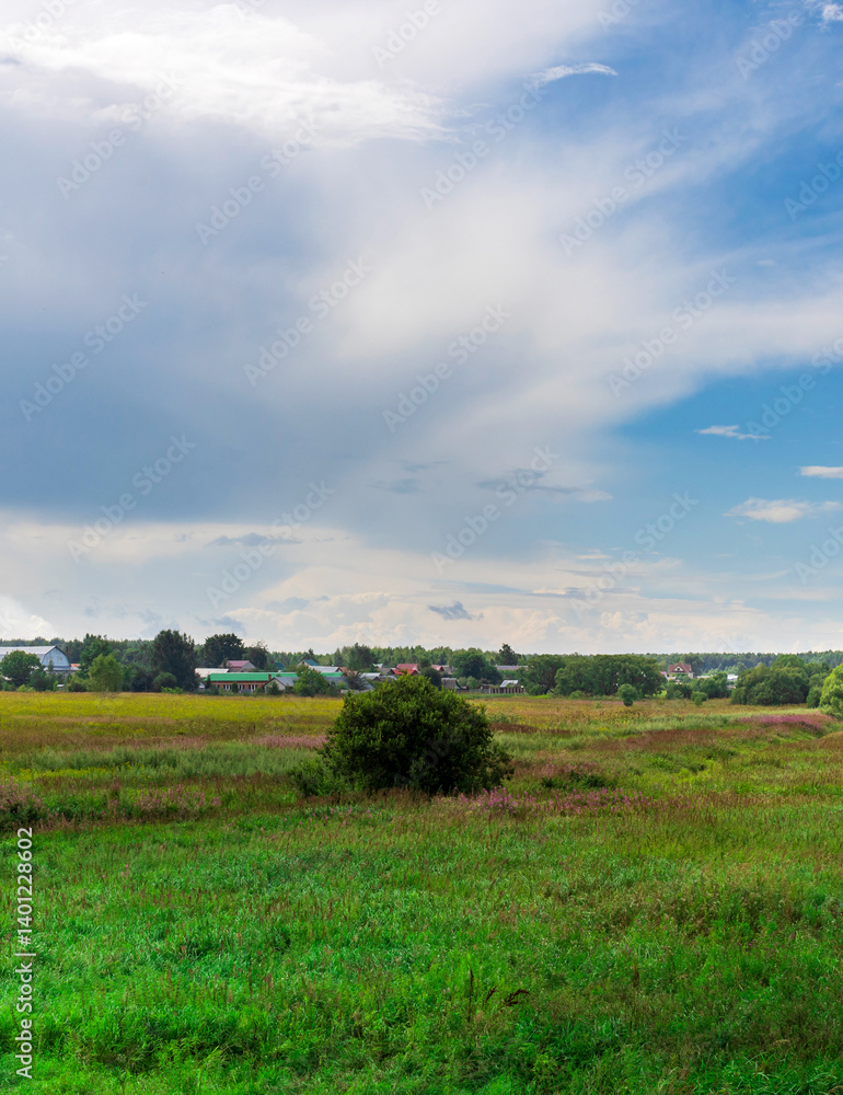 Fototapeta premium Field of grass with a small tree in the middle