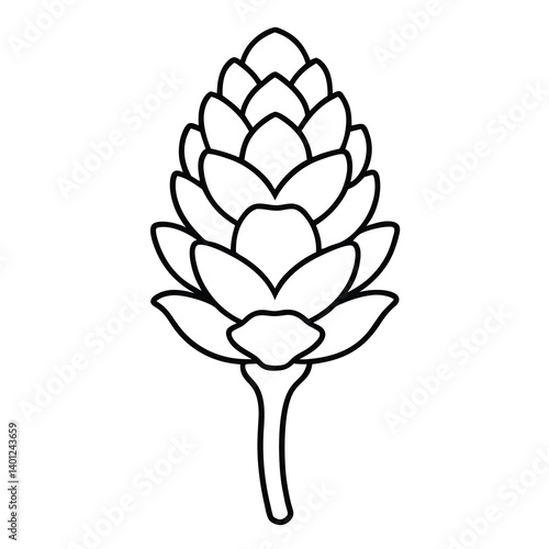 larch-flower-line-art-vector-on-white-background-.eps