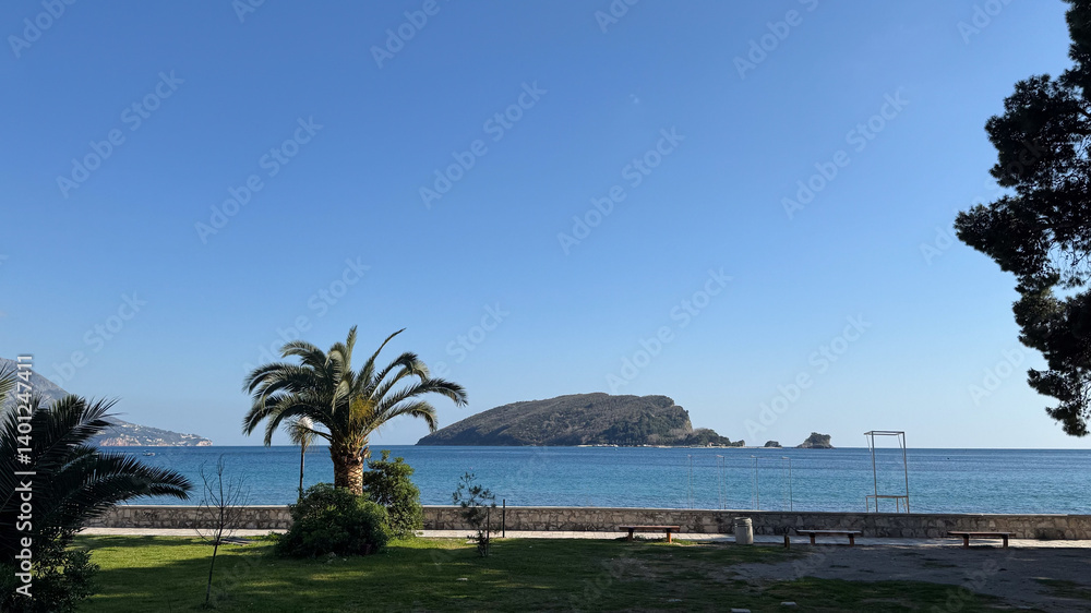 Peaceful ocean view from a landscaped park with palm trees, benches, and a distant forested island.