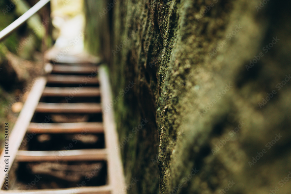 Wooden staircase on a trail at a slope