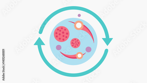 Skin Regeneration Cycle A circular diagram illustrating the cycle of skin regeneration with arrows showing the role of collagen in healing and renewal.