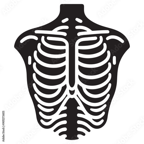 Silhouette rib cage chest bones human anatomy medical skeletal